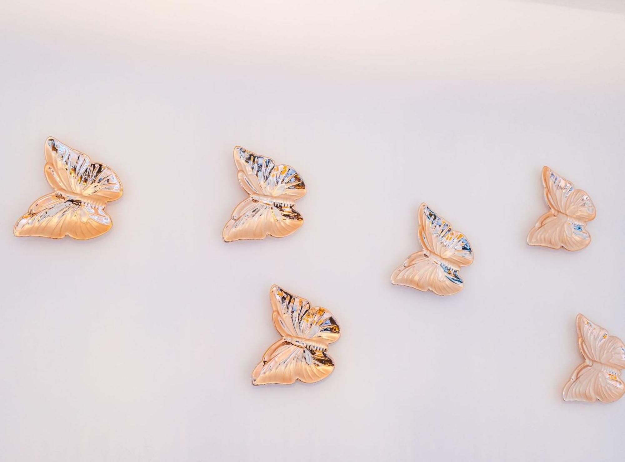 Apartment Butterfly ドゥブロブニク エクステリア 写真